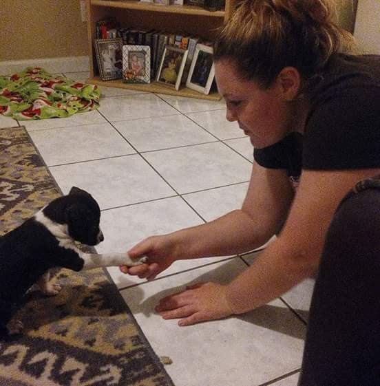 fb_img_1486684994831